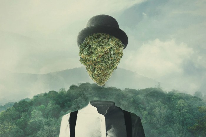 Cannabis effecten: Waarom Je High Wordt Van Wiet - RQS Blog Cannabis effecten: Waarom Je High Wordt Van Wiet - RQS Blog