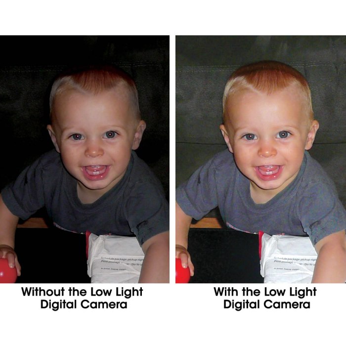 The Best Low Light Cameras: Shoot Great Photos, Even at Night Low power DSLR
