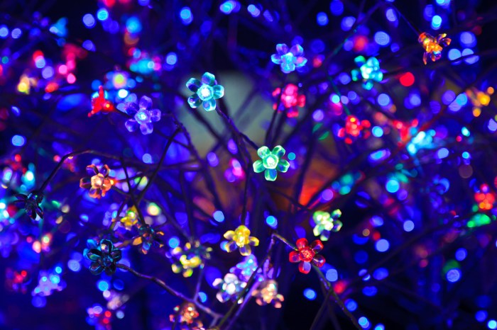 Decorative Led Lights Free Stock Photo - Public Domain Pictures LED TV specs