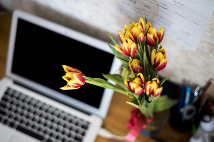 Portable Computer And Tulips Free Stock Photo - Public Domain Pictures Portable wireless charging