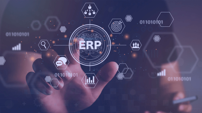 Erp System – Buckland Merrifield ERP implementation guide